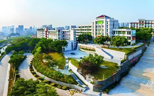 黎明大学是本科,还是大专