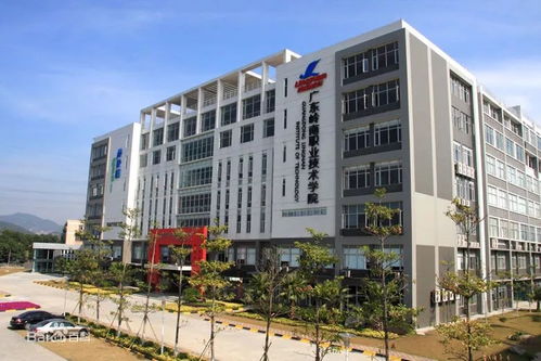 广东岭南职业技术学院自招 学考 高考分数汇总 录取