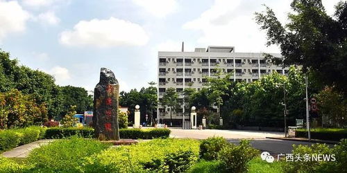正在公示 南宁这两所大学要合并转设为一所新大学 是你母校吗