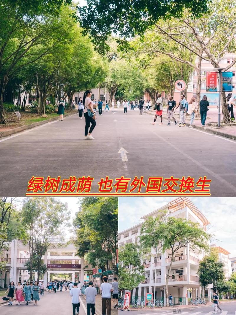 南宁职业技术学院即将升为本科院校,单招对口