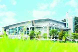 高职院校参与社会治理创新的火炬实践