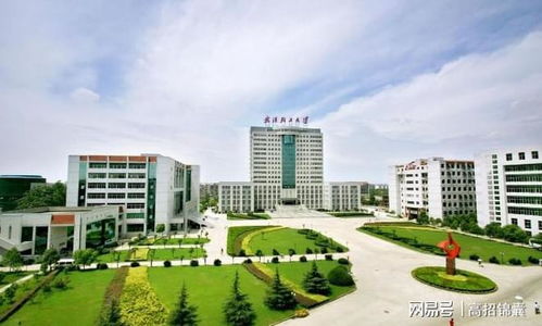 武汉轻工大学什么专业好 企业 高薪抢人 ,相关专业火了