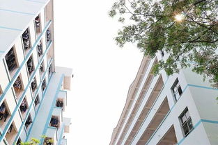 特色办学,南宁这所高职院校不但招中职新生 而且还有特色班招生火热进行中