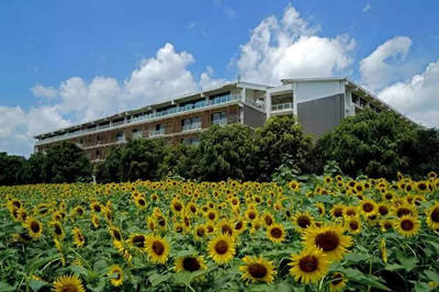 南宁职业技术学院:以葵花之名