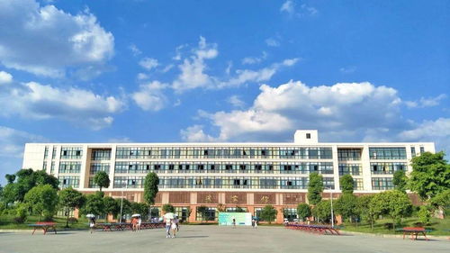 眉山高校图书馆大比拼，谁的才华与美貌兼具——南宁职业技术学院篇