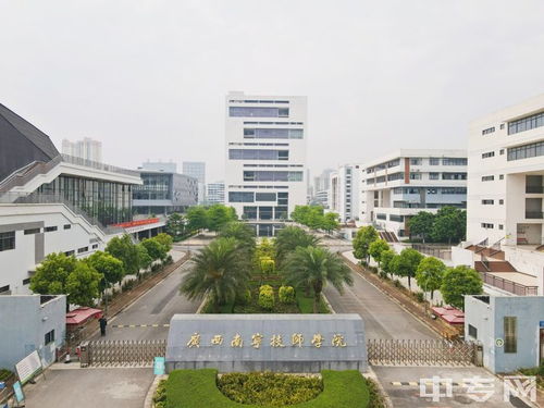 广西南宁技师学院与南宁职业技术学院校园环境对比分析