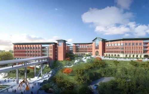 南宁职业技术学院 127亿巨资打造广东新校区，2170亩现代化校园二期即将完工