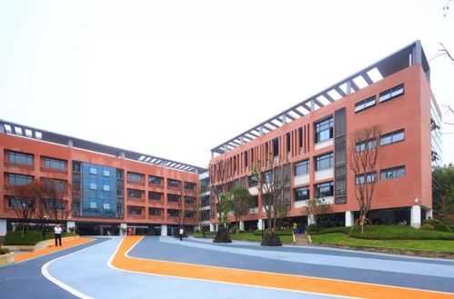南宁职业技术学院引领主城教育扩容，今年新建数十所学校助力区域发展