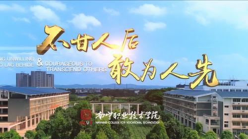 南宁职业技术学院 迈向“双高”时代的职业育人典范
