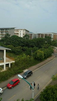 南宁职业技术学院 培养高素质技能人才的摇篮