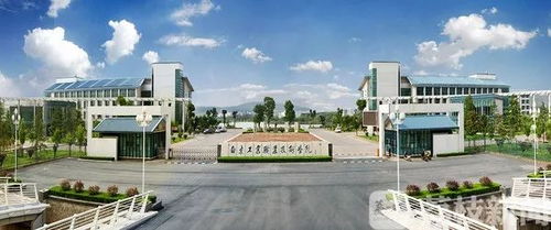 南京工业职业技术学院与南宁职业技术学院发展路径解析 为何一“升”一“稳”？